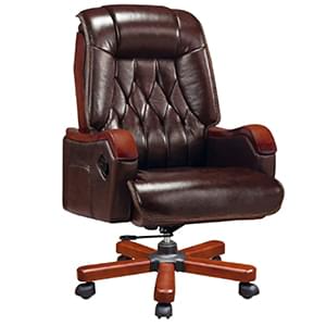 CEO Executive Chair